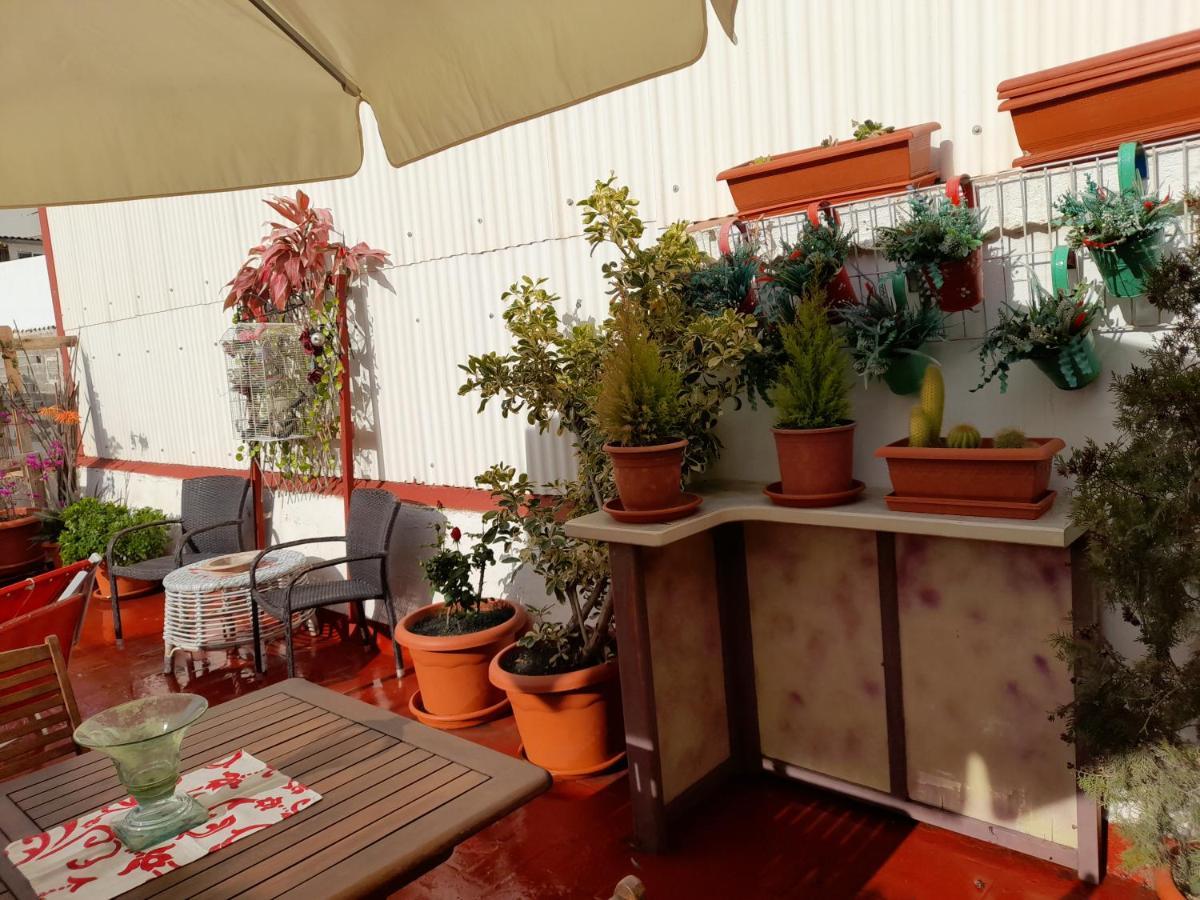 Ferienwohnung La Terraza Vinarós Exterior foto